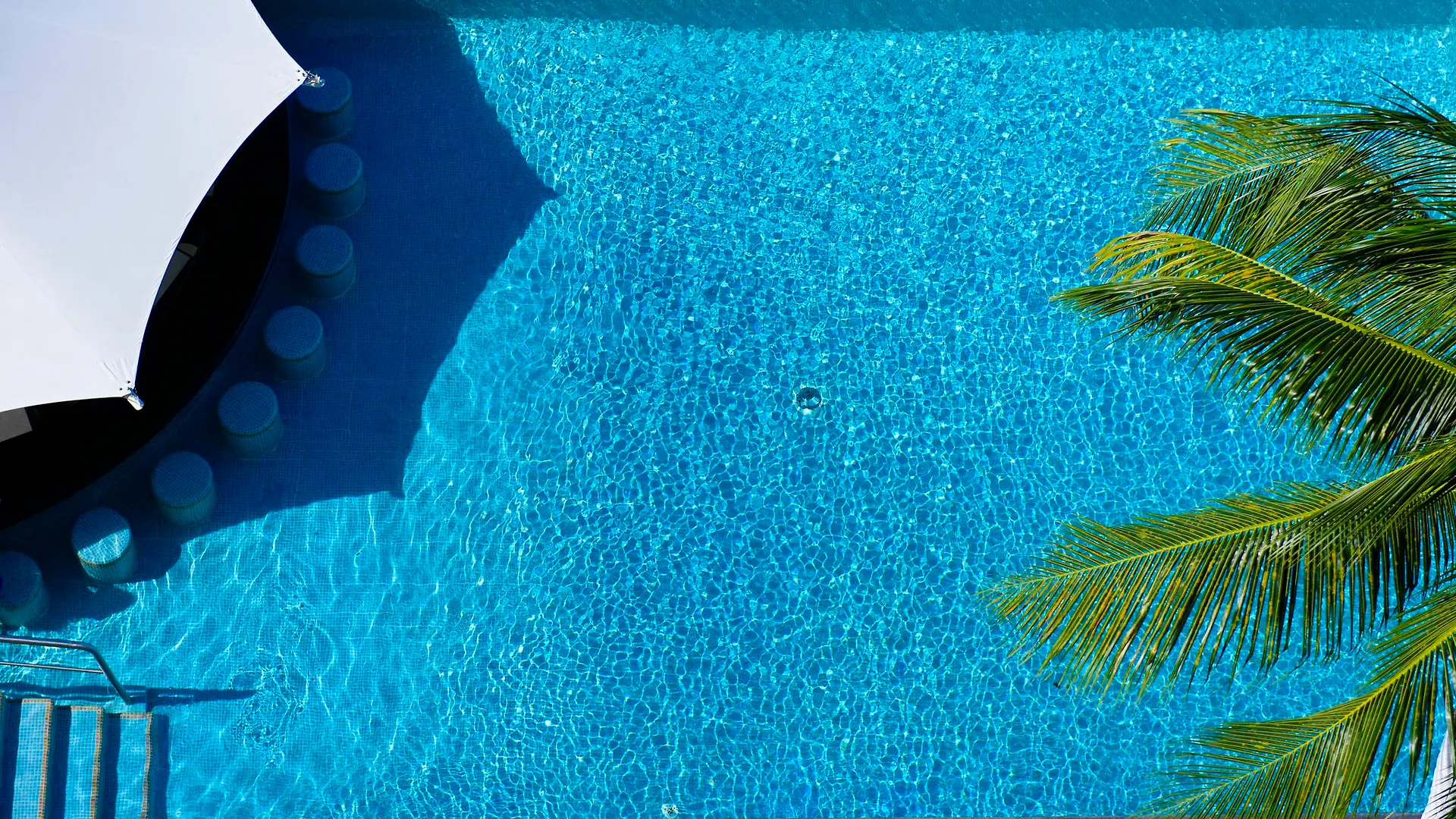 Coral Princess Hotel & Dive Resort Cozumel 4*,